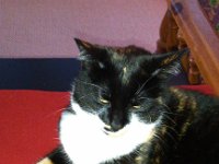 IMG 20130818 185728