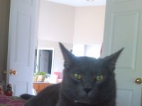 IMG 20130819 172036
