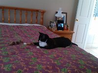 IMG 20130831 114706