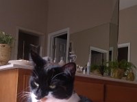 IMG 20130928 104029