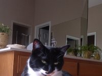 IMG 20130928 104036