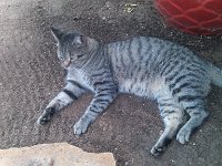 IMG 20130928 143808
