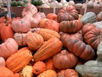 IMG 20131006 165011