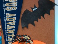 IMG 20131031 111518