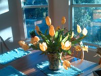 IMG 20131102 083011