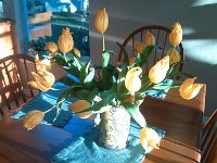 IMG 20131102 083056