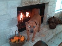 IMG 20131102 083201