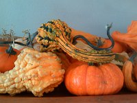 IMG 20131102 083939