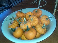 IMG 20131102 084218