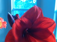 IMG 20131106 074459