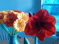 IMG 20131106 074516