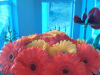 IMG 20131106 074534