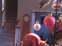 IMG 20131212 171506