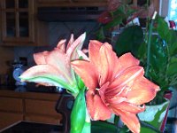 IMG 20131212 171706