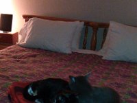 IMG 20131212 181908