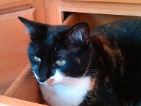 IMG 20140112 084314