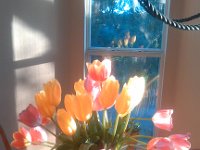 IMG 20140116 075233