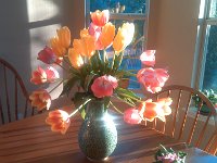 IMG 20140116 075256