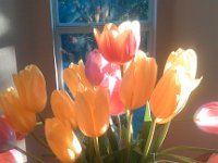 IMG 20140116 075304
