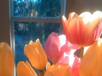 IMG 20140116 075315