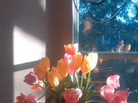 IMG 20140116 075823