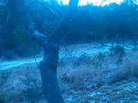 IMG 20140124 091956