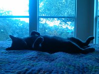 IMG 20140124 141600