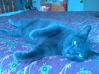 IMG 20140124 141638