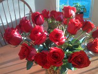 IMG 20140214 074547