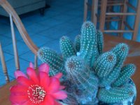 IMG 20140222 114056