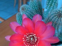 IMG 20140222 114106