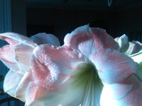 IMG 20140312 083057