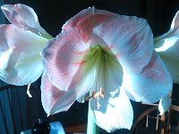 IMG 20140312 083114