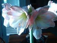 IMG 20140312 083135