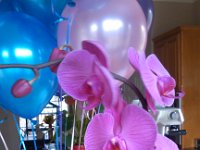 IMG 20140315 121248