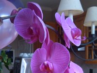 IMG 20140315 121303