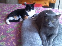 IMG 20140315 130832