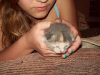 Picture 137