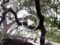 VID 20121006 152830