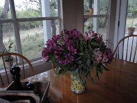 DSC00006