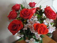 DSC00010