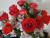 DSC00011