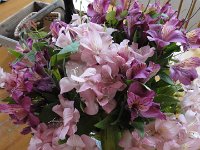 DSC00019
