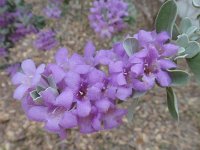 DSC00022