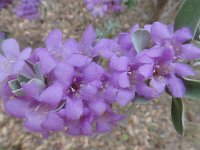 DSC00024