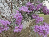 DSC00061