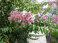 DSC00068