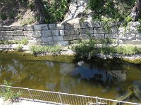 DSC00082
