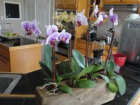 DSC00085