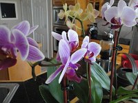 DSC00086